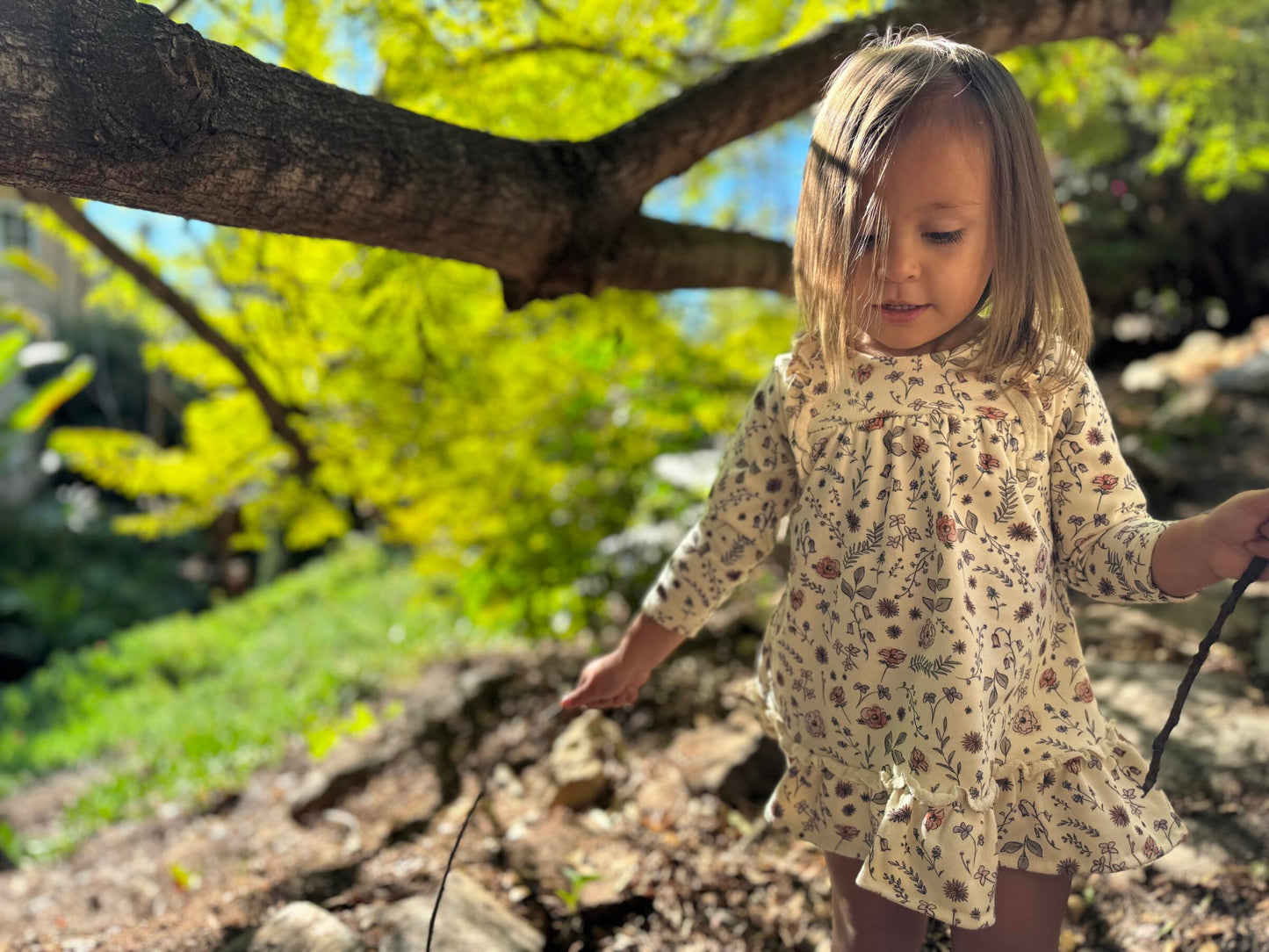 Aswen Dress